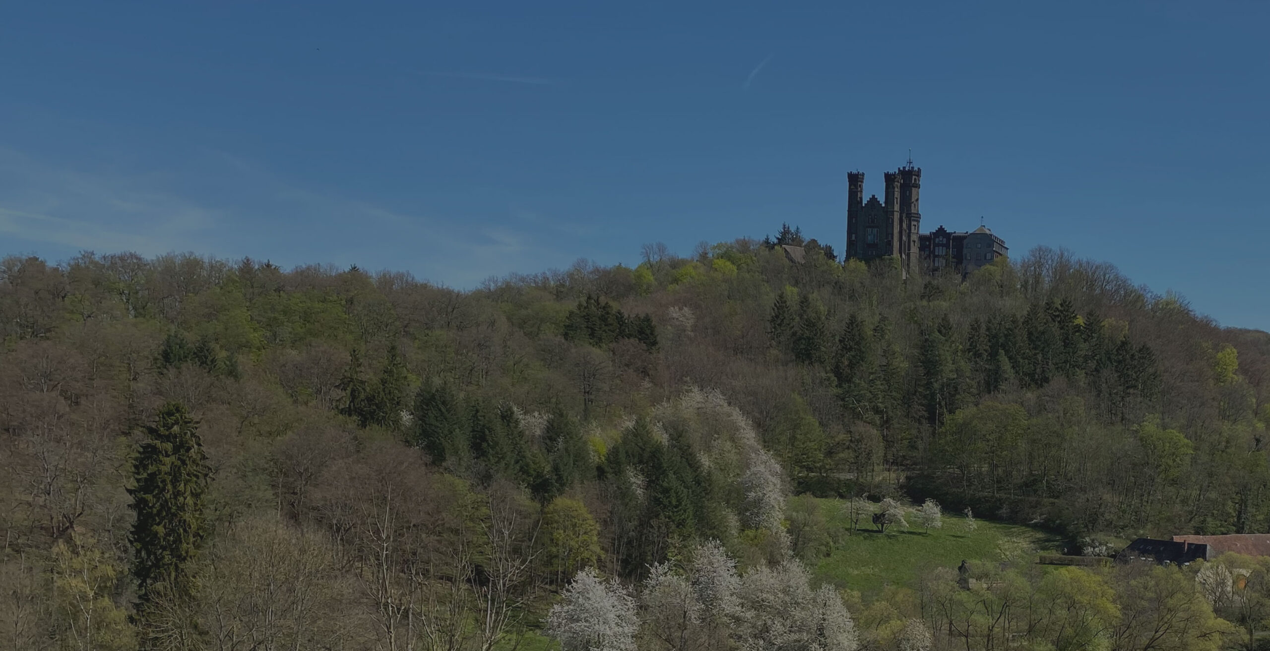 Bildschirmfoto-2021-05-18-um-16.10.41